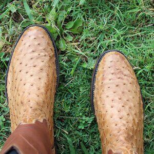 🪶 Lucchese Full Quill Ostrich Roper Boots | Men’s 10 EE | Light Tan